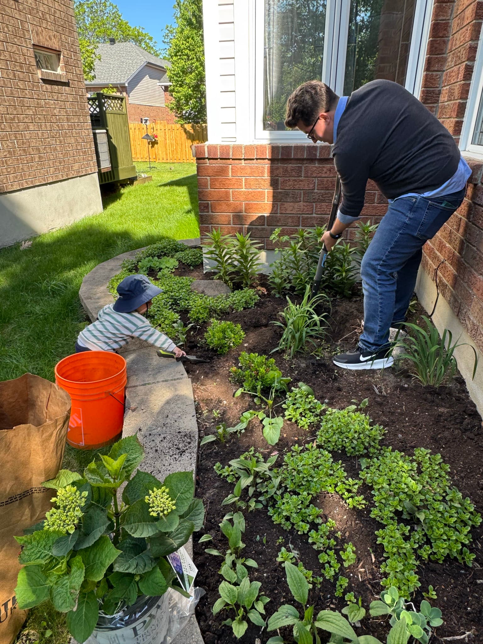 Brandon and Simon planting a bush in the garden